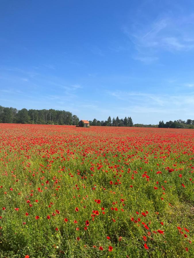 Oh ! Fleurs Des Champs Bed & Breakfast Chaumont-sur-Tharonne Ngoại thất bức ảnh