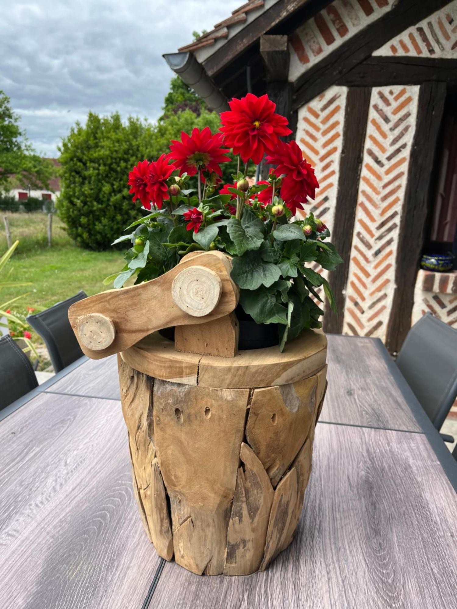 Oh ! Fleurs Des Champs Bed & Breakfast Chaumont-sur-Tharonne Ngoại thất bức ảnh